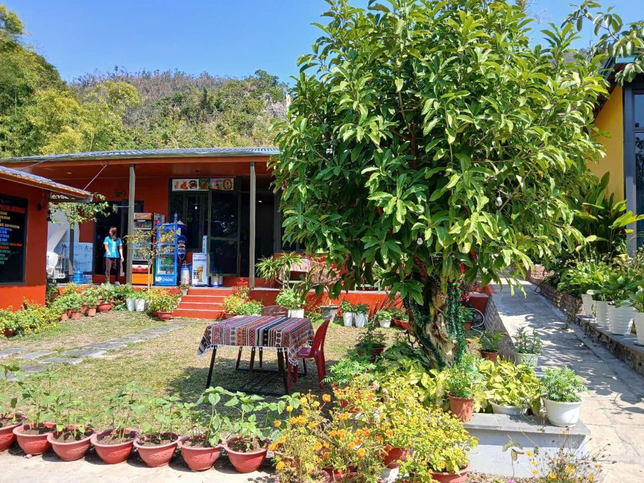 Catba Papillon Garden Bungalows & Resort Hien Hao Εξωτερικό φωτογραφία