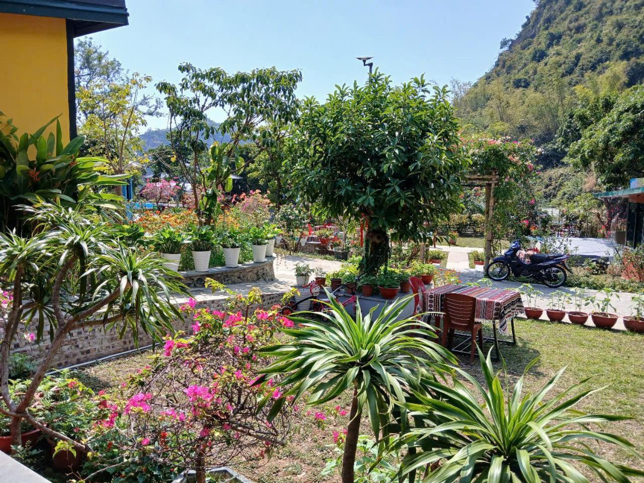 Catba Papillon Garden Bungalows & Resort Hien Hao Εξωτερικό φωτογραφία