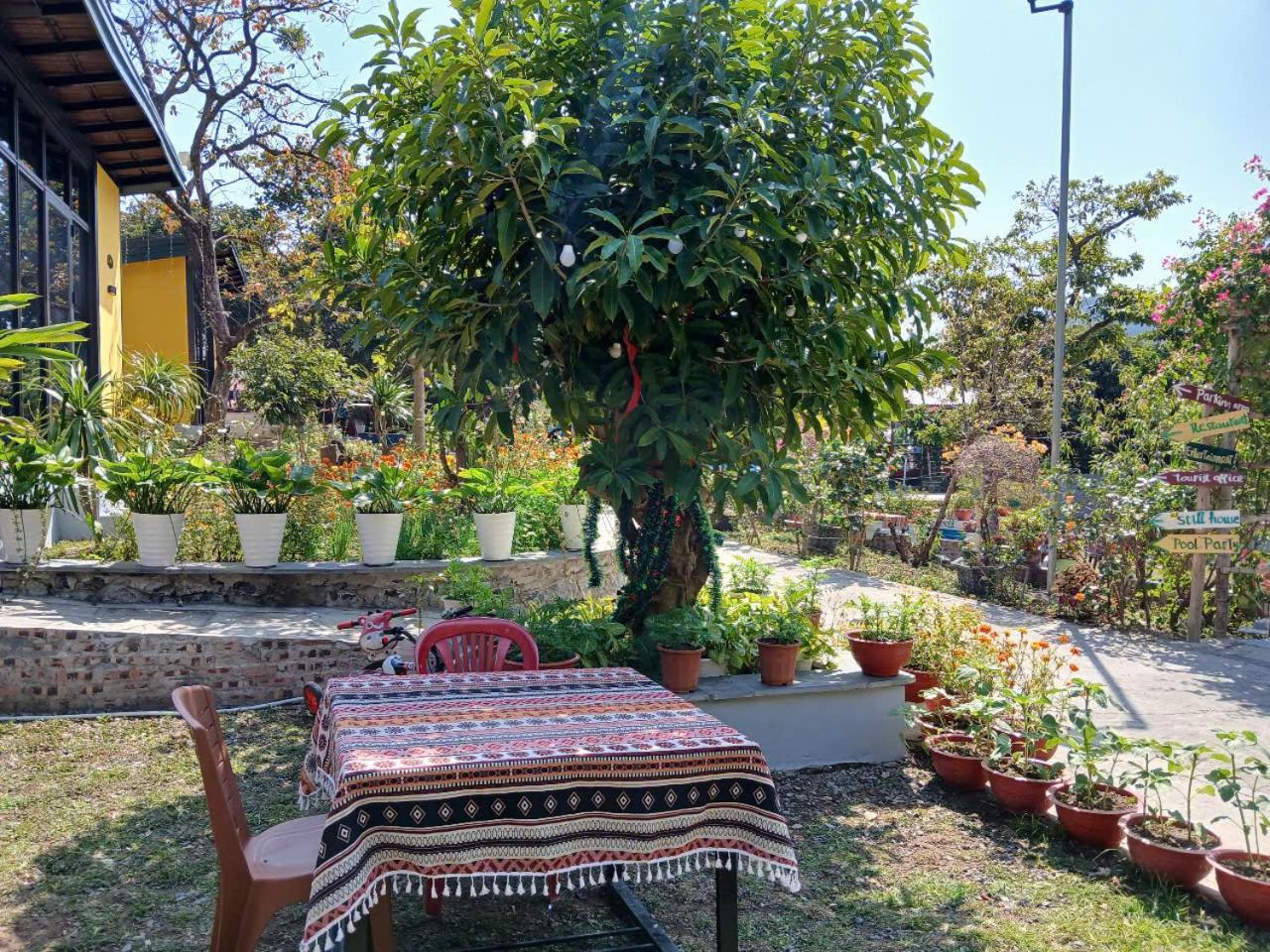 Catba Papillon Garden Bungalows & Resort Hien Hao Εξωτερικό φωτογραφία