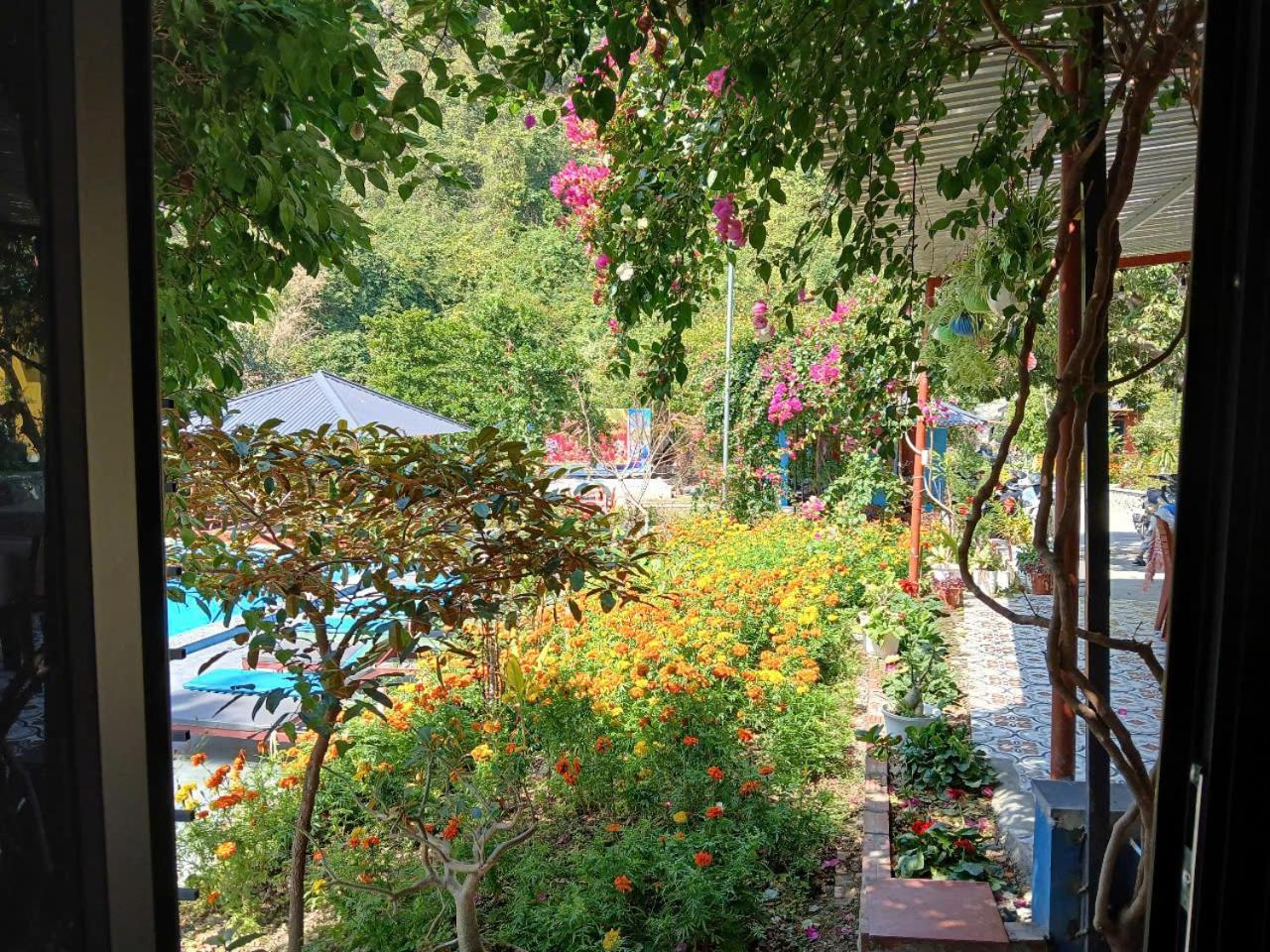 Catba Papillon Garden Bungalows & Resort Hien Hao Εξωτερικό φωτογραφία