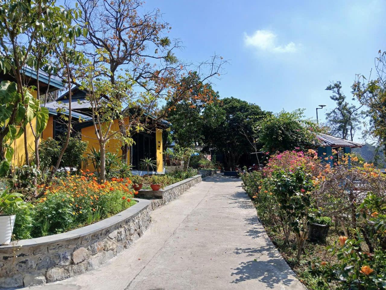Catba Papillon Garden Bungalows & Resort Hien Hao Εξωτερικό φωτογραφία
